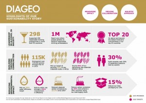 Diageo Annual Report - SD Infographic